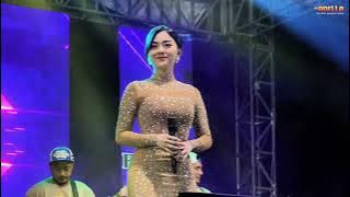 SURAT TERAKHIR - TIARA AMORA - ADELLA LIVE MALANG