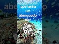 que seu dia seja abençoado