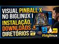 Visual Pinball X no BigLinux I Instalação, Downloads e Diretórios #biglinux
