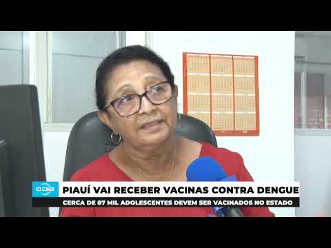 Piauí recebe 21 mil doses de vacinas contra a Dengue 26 04 2024
