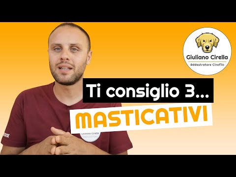 Video: I Cani Possono Mangiare Noci? Se Sì, Quali Noci Sono Sicure Per I Cani?