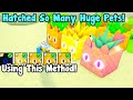 I Hatched So Many New Huge Pets Using This Method! - Pet Simulator X Roblox