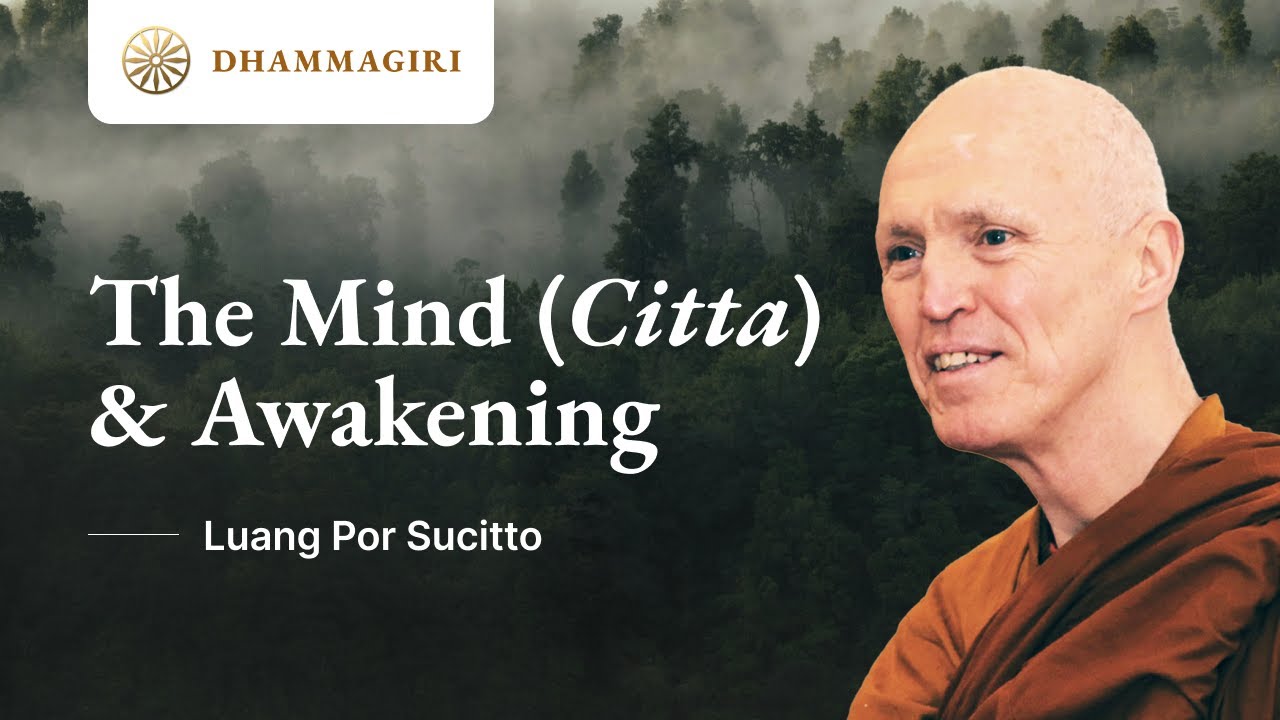 The Mind (Citta) and Awakening - Ajahn Sucitto at Dhammagiri | Meditation | Buddhism | Dhamma