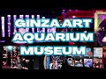 GINZA ART AQUARIUM MUSEUM 2023 (4K)