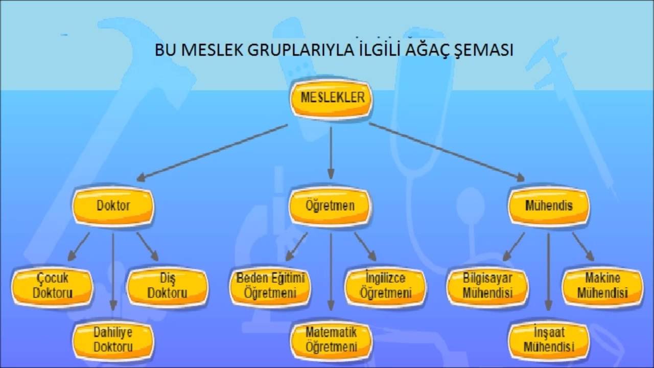 Verileri Duzenliyorum Agac Semasi Bilge Parmaksiz Youtube