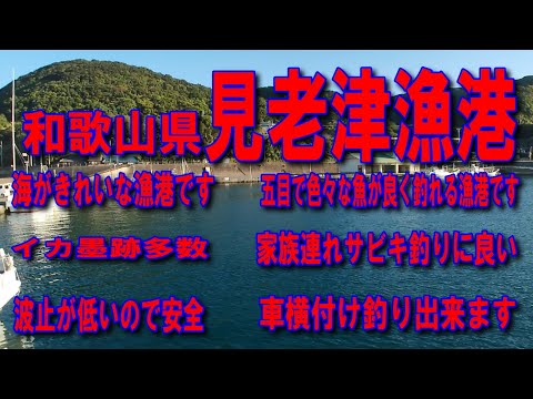 #50和歌山県すさみ町見老津漁港五目釣りに最適ですイカ墨跡多数車横付け釣り出来ます波止が低いので安全ファミリー家族連れサビキ釣りに良い堤防アジング釣りポイント釣りスポット