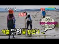 안면도 해루질 포인트 개불 장인. We eat penis fish [해루질언니]