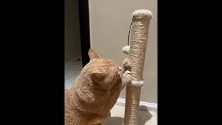 IMG 6159