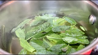 How To Make Refreshing Mint Tea From Fresh Mint Leaves