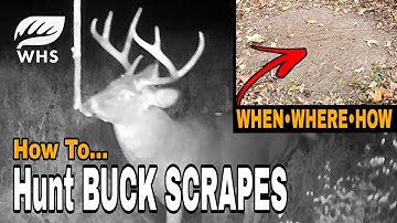 How To Hunt A Buck Scrape