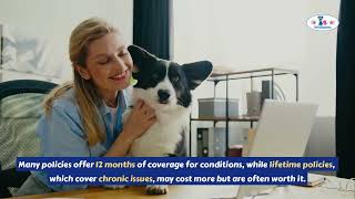 🐾 Is Pet Insurance Worth It? Why Your Furry Friend Needs Coverage! 🐕‍🦺🐈
