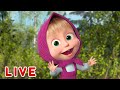 🔴 LIVE STREAM 👱‍♀️🐻 마샤와 곰 🎡 행복한 주말 🪁 Masha and the Bear