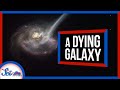 This Galaxy Is in the Midst of Dying | SciShow News