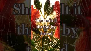 You are building thread by thread 🕸 Follow the quietbuild #wealth #finance #investing