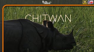 Jungle Safari in Chitwan National Park  Nepal 4K