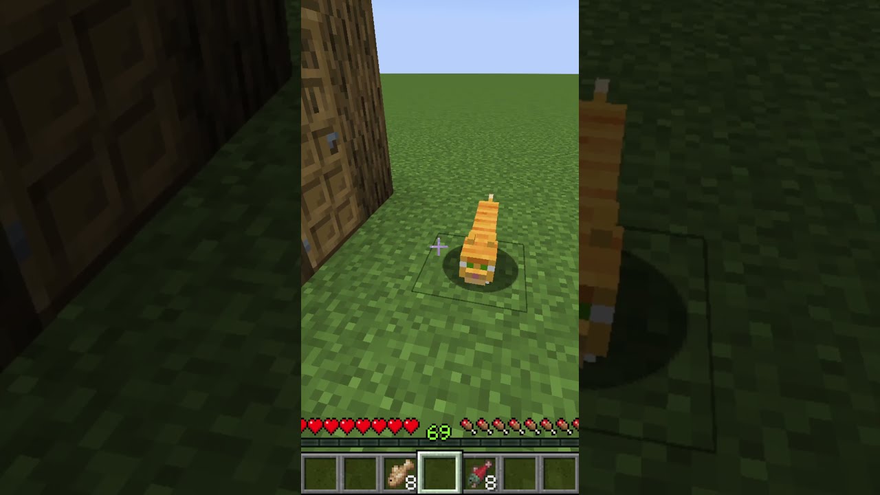 How To Tame A Cat In Minecraft