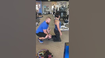 Partner Assisted Nordic Hamstring Curl