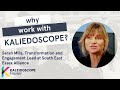 Why work with kaleidoscope