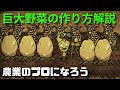 【巨大野菜の作り方】農業のやり方解説 Don't Starve Together ドンスタ
