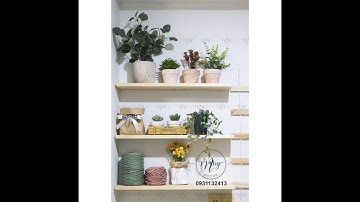 Hướng dẫn bắt kệ vít âm tường