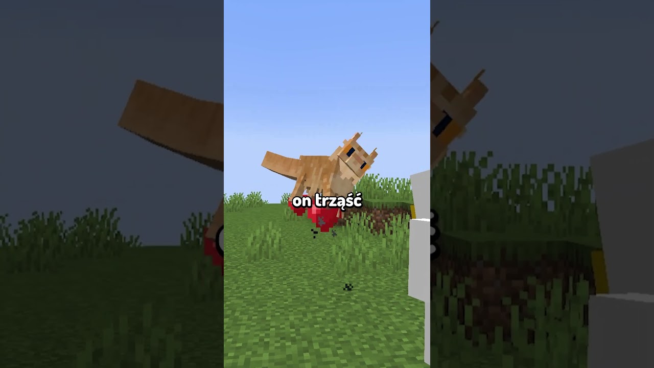 NIE POZWÓL MU UMRZEĆ W MINECRAFT