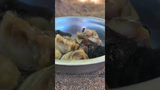 Hadzabe Tribe preparing snails for lunch today