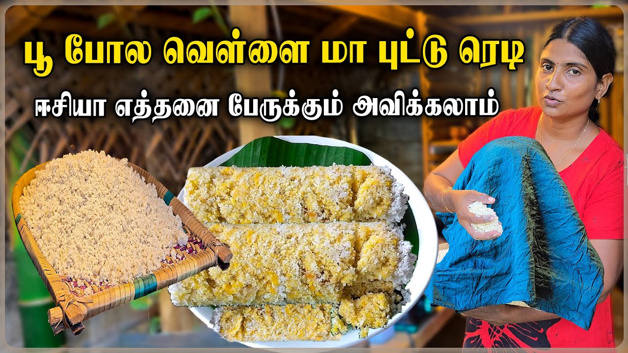 பூ போல மென்மையான வெள்ளை மா புட்டு | jaffna Puttu Recipe In Tamil | எத்தனை பேருக்கும் கொடுக்கலாம் 😲