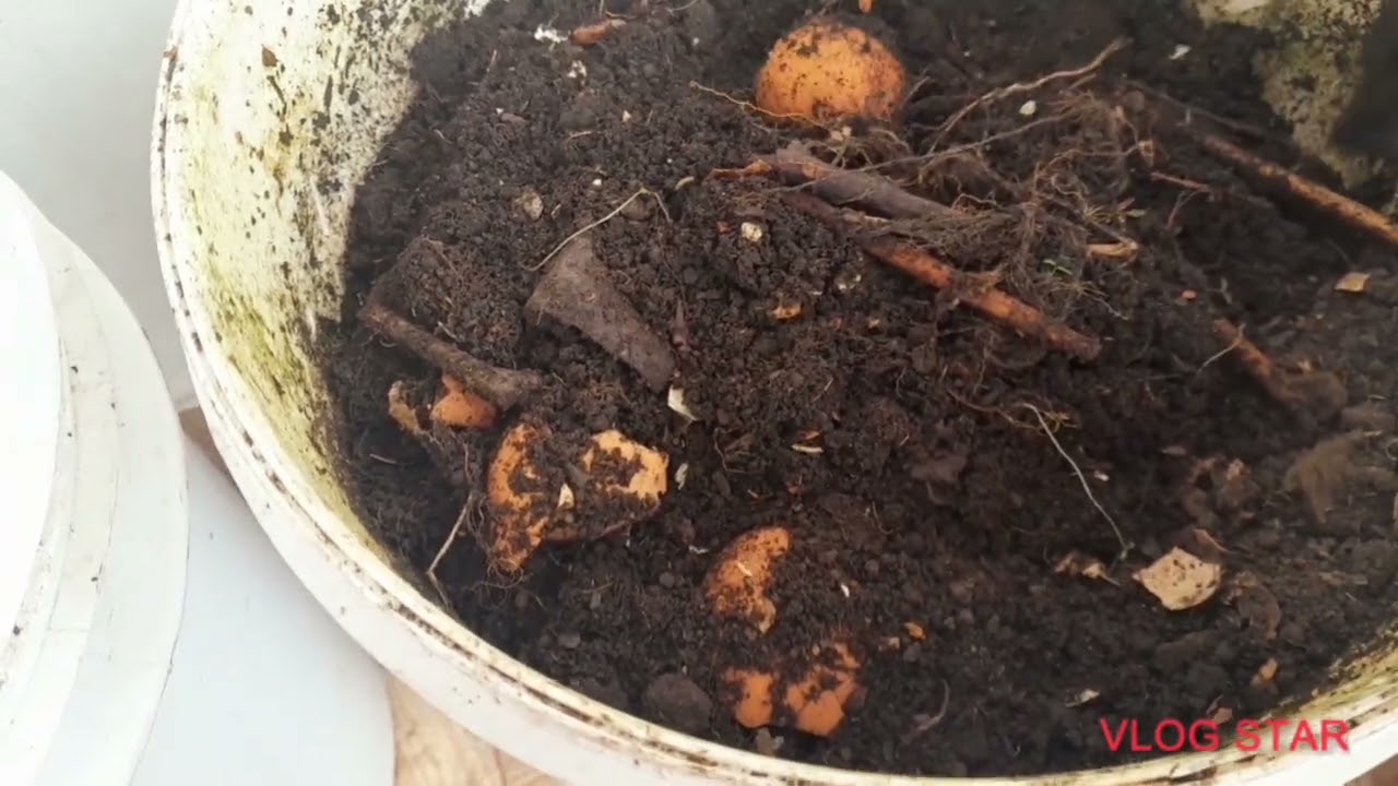 Canto da compostagem (2⁰ vídeo)