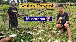 Papah(Mushroom🍄)Goulun Hangmii-Regular tah in abottaove😃💖🥰😁👏😂