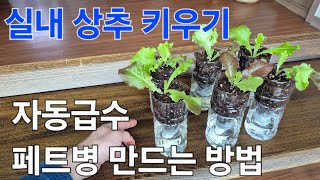 베란다 겨울 상추 키우기. 자동급수 페트병 채소키우는 방법 단 5분이면 끝