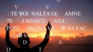 Video thumbnail of "Speranta  - Te voi inalta  ( Versuri )"