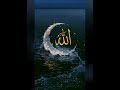 ay shere Arabpaya#Tiktok#youtubeshorts#islamicsatuts#shortvideo#shorts#phalastine