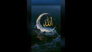ay shere Arabpaya#Tiktok#youtubeshorts#islamicsatuts#shortvideo#shorts#phalastine