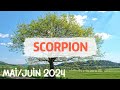  scorpion  mai  juin 2024  vous y croyez dur comme fer  