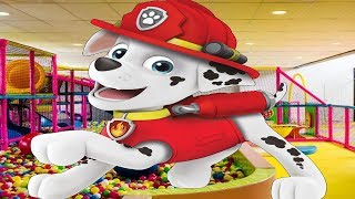 Paw Patrol | 🐶 Puppy Patrol Crossy Run Gameplay! screenshot 1