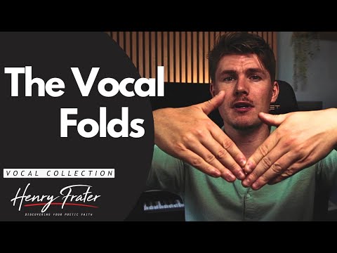 The Vocal Folds (Vocal Tutorial)
