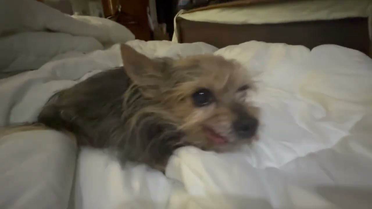 Пожалуйста