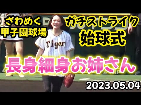 ドラゴンズ岡林勇希 vs 長身細身なタイガースお姉さん、始球式！ 〜 ガチ速球·ガチストライク投球にゴールデンウィーク満員札止めの甲子園球場がざわつく