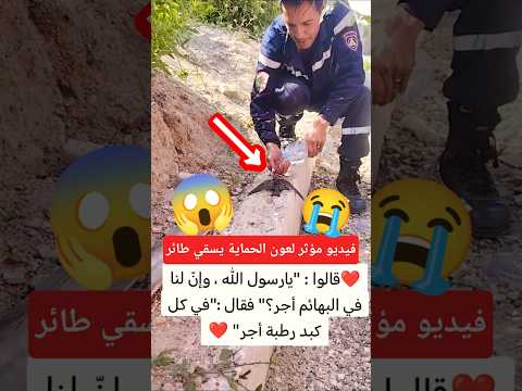 فيديو مؤثر لعون الحماية يسقي طائر خلال حرائق الغابات #الجزائر