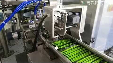 Hefei IECO(CHANTECPACK)Automatic multi head weigher zipper doypack picadura tobacco  packing machine