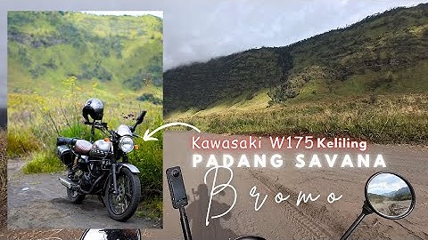 Keliling Padang SAVANA Bromo naik Kawasaki W175 !!