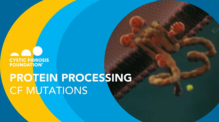 CF Foundation | Protein Processing Cystic Fibrosis Mutations