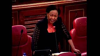 THE SENATE PLENARY, THURSDAY 4TH JULY 2024, AFTERNOON SESSION PT2