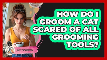 How Do I Groom A Cat Scared Of All Grooming Tools? - Happy Cat Handbook