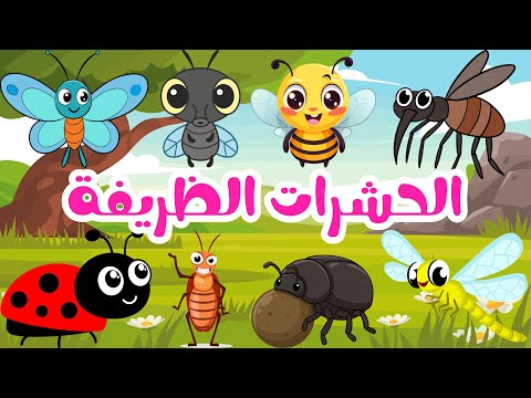 أغنية الحشرات الظريفة تعليم الطفل اسماء الحشرات أغاني أطفال