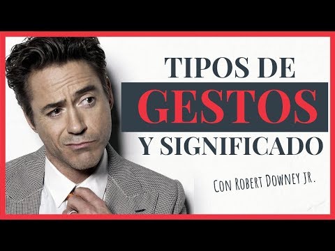 4 tipos de