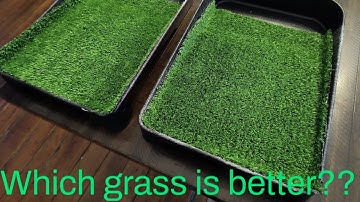 Lining our new paint pan rollout nest boxes. Barn 25.