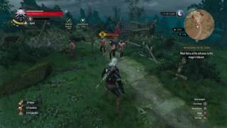 The Witcher 3 - Grapeshot grenade = extreme dismemberment