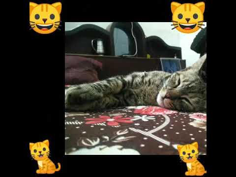 open gangnam style original video open gangnam style original video