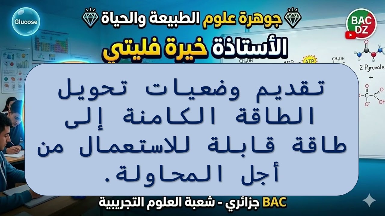ملف وضعيات التنفس والتخمر
